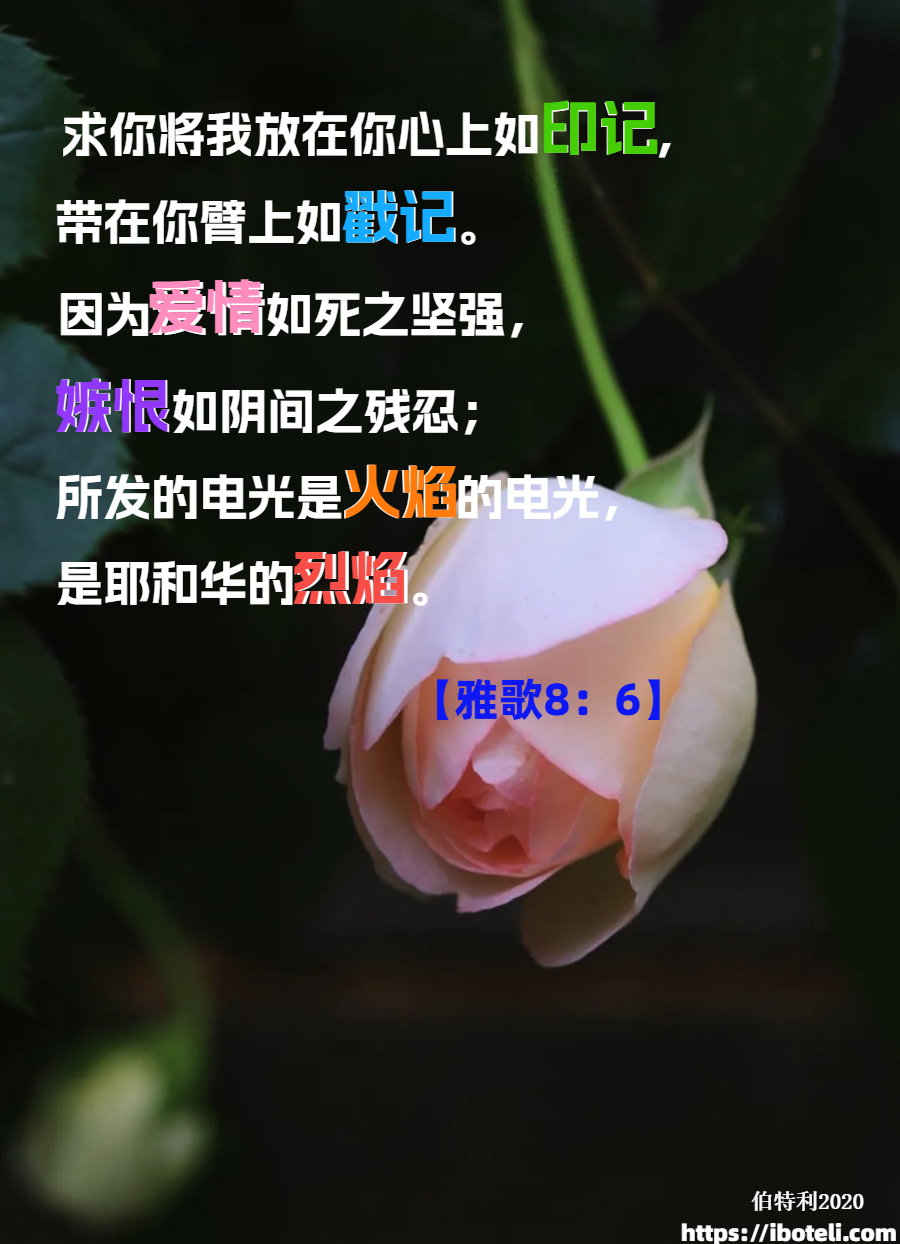 领会天父的心意（481）回应主耶稣的爱 ∽致年轻人（七十九）