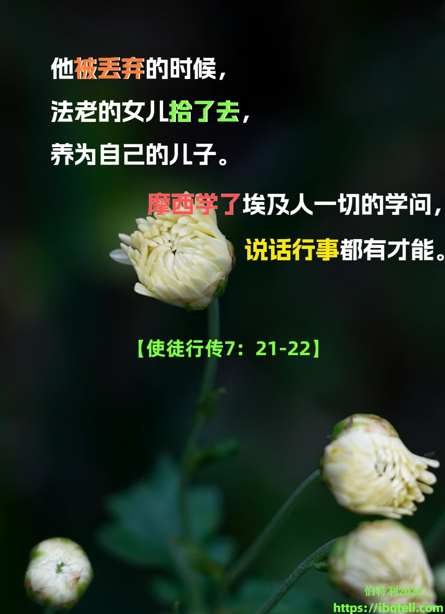 领会天父的心意（416）珍惜读大学的机会 ∽致年轻人（十三）