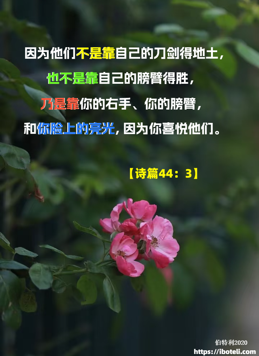 领会天父的心意（422）大卫的得胜 ∽致年轻人（十九）